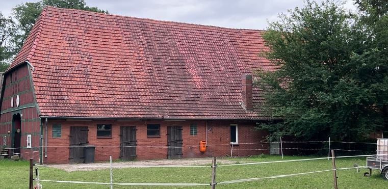 Historischer Niedersachsen- Bauernhof in Fachwerk mit Pferdeboxen u. tollen Eichenbaumbestand - Gewerbeobjekt Diepenau | Angebot:27295101
