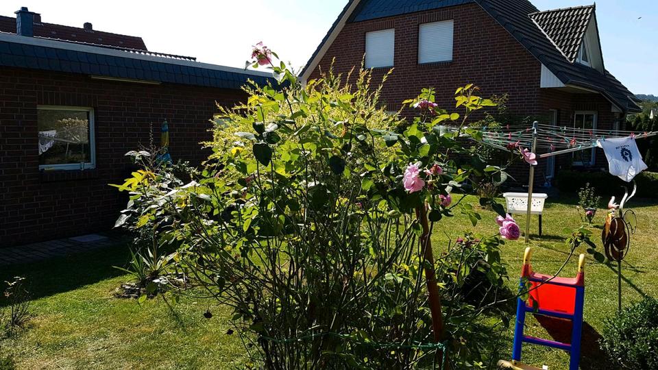 Einfamilienhaus Kalletal - 5 Zimmer, 123 m&sup2;, 398.000&euro; | Angebot:26716098