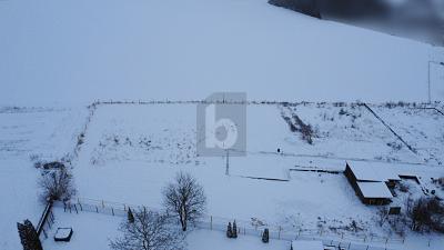 RAUM FÜR IHR EIGENHEIM - Grundstück Auetal Rolfshagen Rolfshagen | Angebot:26230264