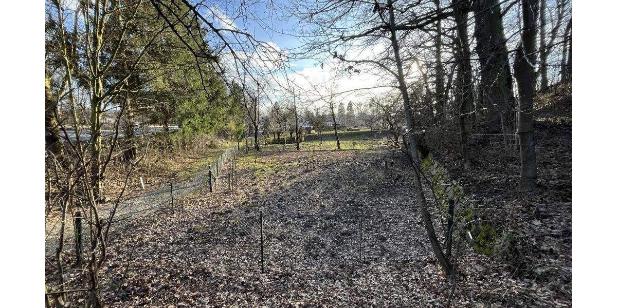 Grundstück Extertal Bösingfeld - 51.000&euro; | Angebot:25729448