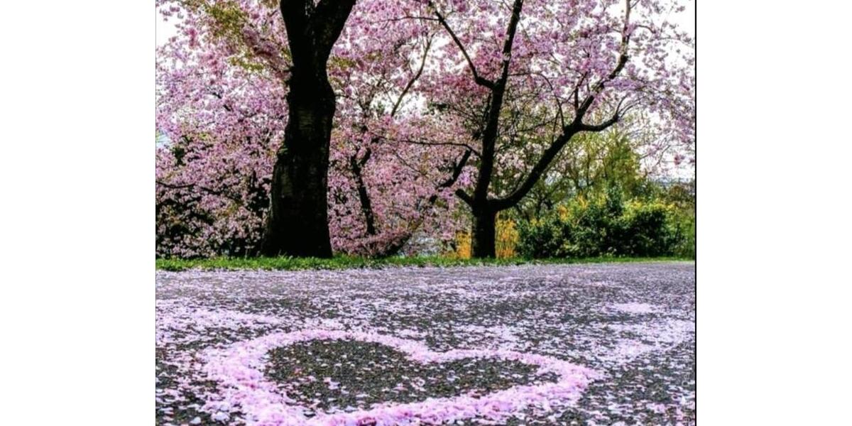 Etagenwohnung Herford - 5 Zimmer, 200 m&sup2;, 2.000&euro; | Angebot:25439050