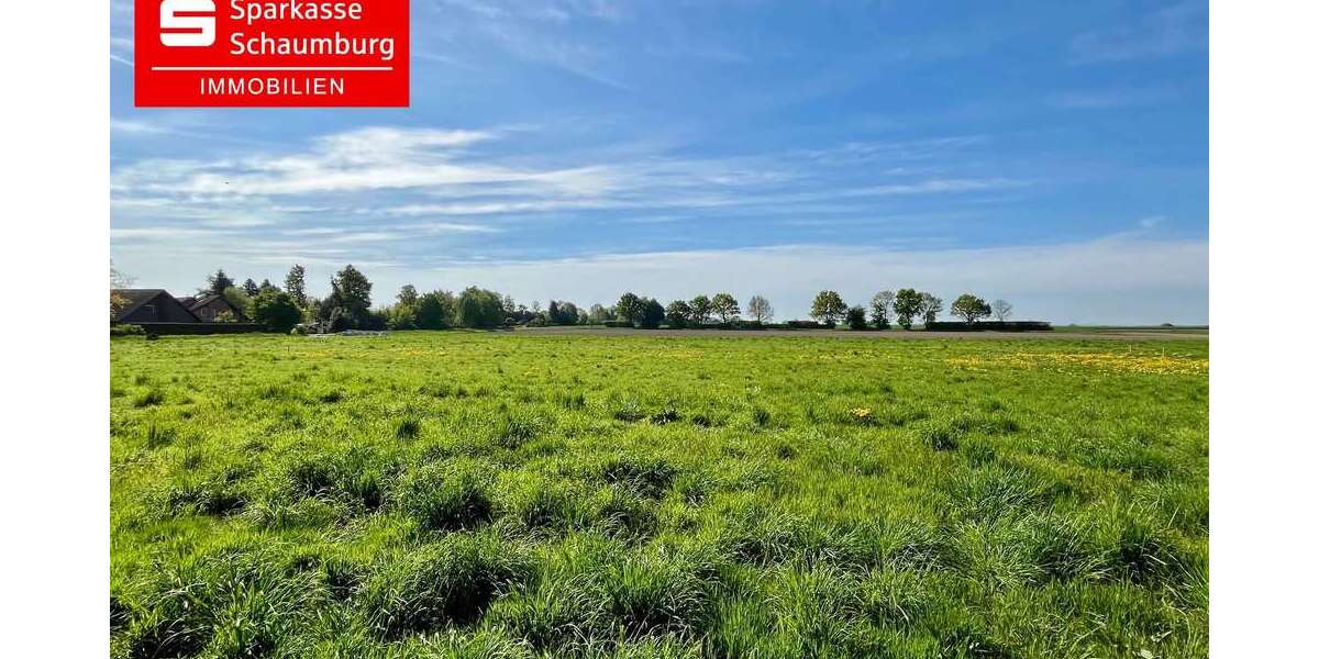 Grundstück Wiedensahl - 87.358&euro; | Angebot:25197780