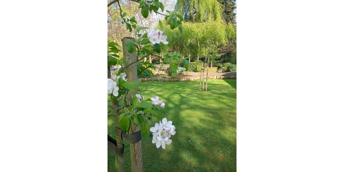 Einfamilienhaus Obernkirchen - 475.000&euro; | Angebot:25637858