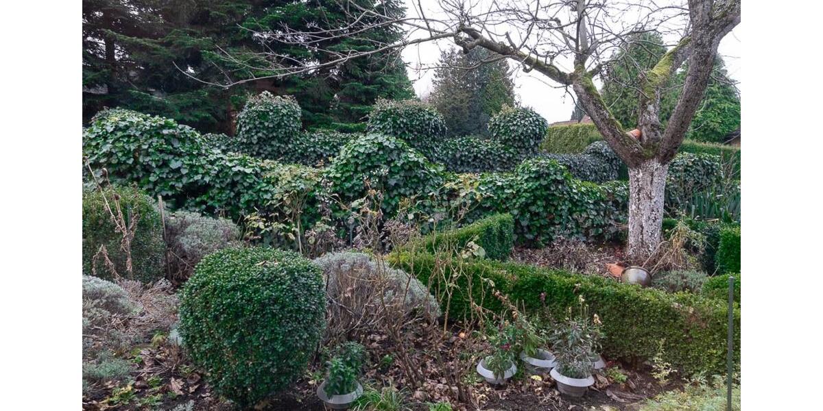 Einfamilienhaus Extertal - 2 Zimmer, 100 m&sup2;, 219.000&euro; | Angebot:24308242