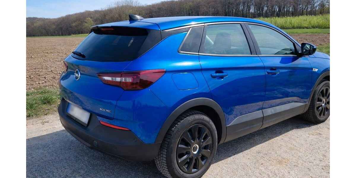 Opel Grandland (X) 87.000 km 13.900 &euro; Enger 32130