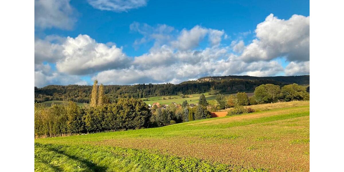 Einfamilienhaus Hessisch Oldendorf - 169.000&euro; | Angebot:13056513