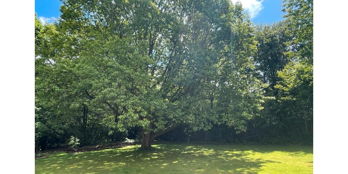 Erdgeschoßwohnung Bad Oeynhausen Dehme - 2 Zimmer, 61 m&sup2;, 150.000&euro; | Angebot:26644373
