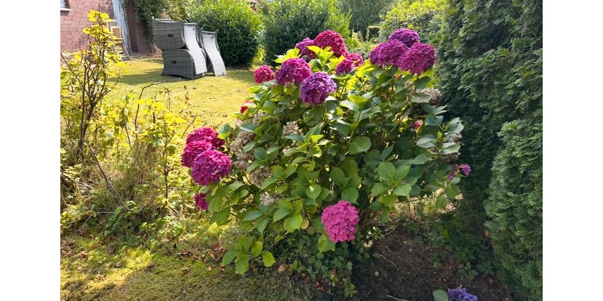 Dachgeschoßwohnung Bünde - 3 Zimmer, 100 m&sup2;, 1.000&euro; | Angebot:25335141