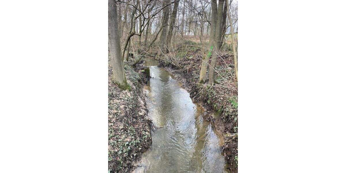 Einfamilienhaus Bünde Dünne - 6 Zimmer, 1.200.000&euro; | Angebot:25744873