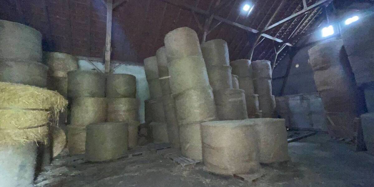 Bauernhaus, Landhaus Niedernwöhren - 1 Zimmer, 375 m&sup2;, 270.000&euro; | Angebot:25731745