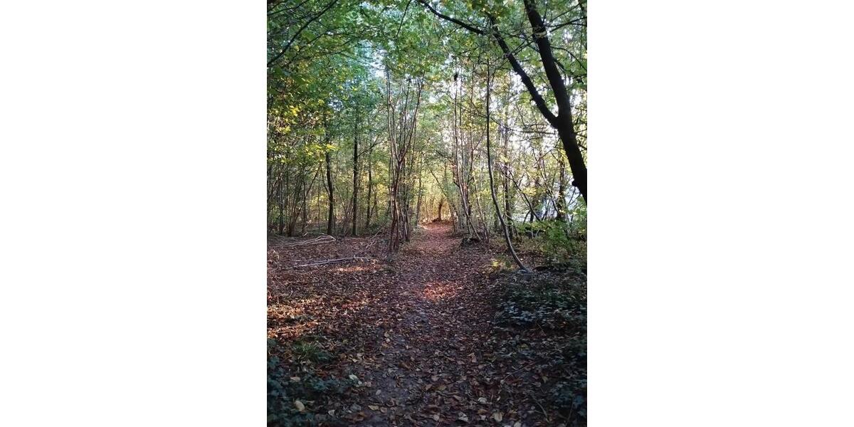 Einfamilienhaus Lemgo - 5 Zimmer, 171 m&sup2;, 325.000&euro; | Angebot:25403243