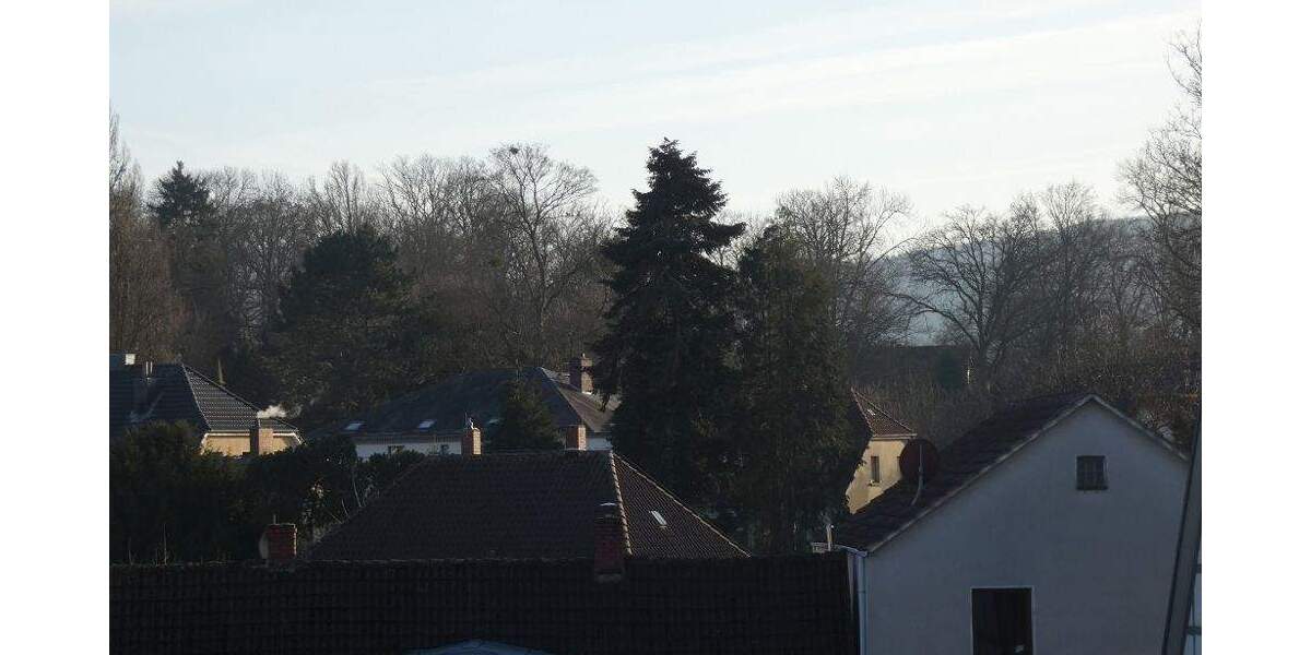 Mehrfamilienhaus, Wohnhaus Bückeburg - 1 Zimmer, 279 m&sup2;, 349.000&euro; | Angebot:25768263