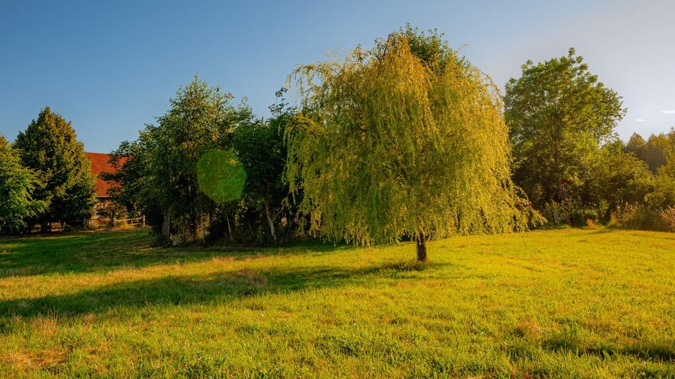 Bauernhaus, Landhaus Preußisch Oldendorf - 5 Zimmer, 120 m&sup2;, 440.000&euro; | Angebot:25717540