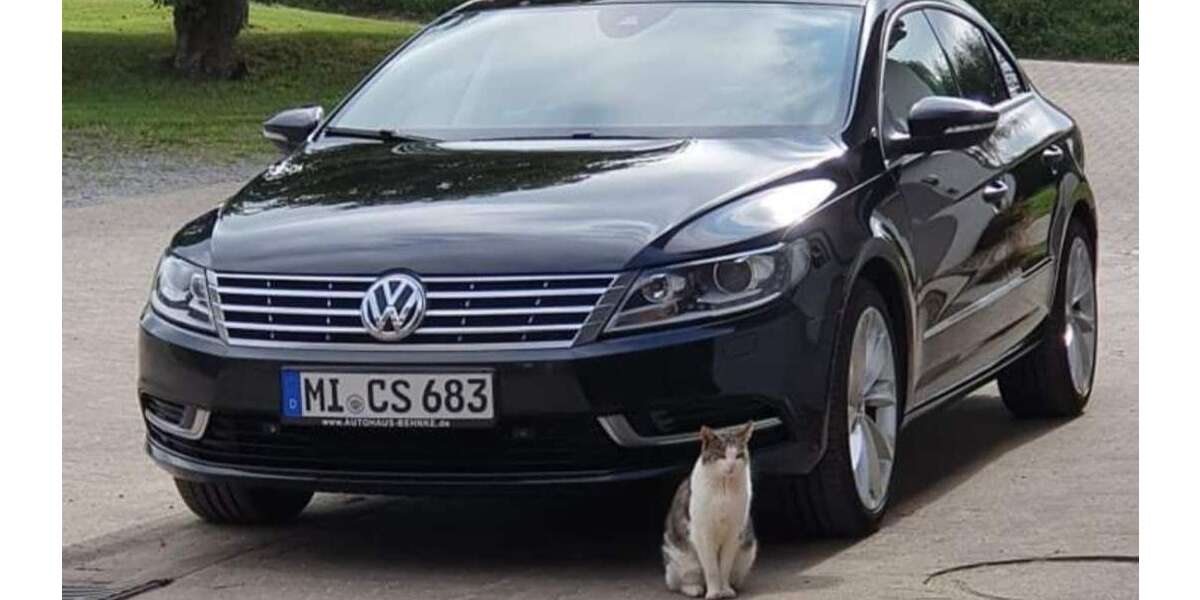 VW CC 195.253 km 11.500 &euro; Holzhausen (Porta Westfalica) 32457