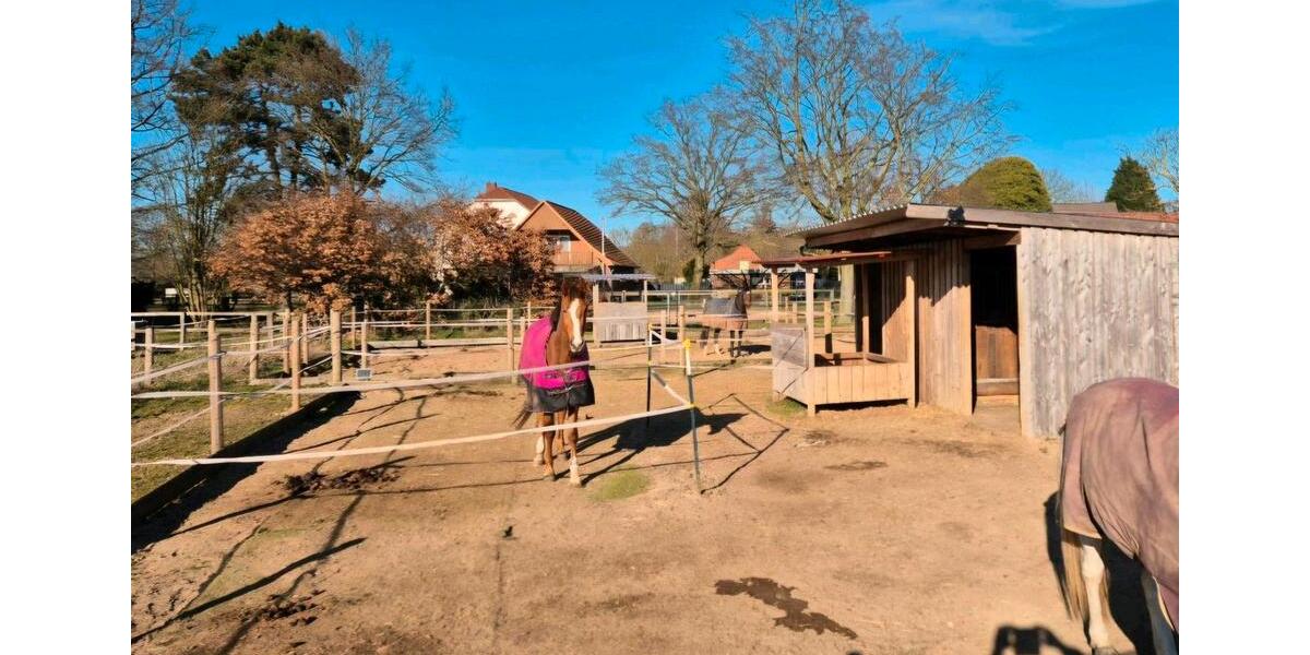 Etagenwohnung Petershagen - 4 Zimmer, 106 m&sup2;, 1.500&euro; | Angebot:26695588