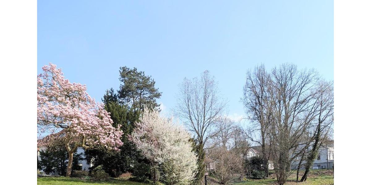 Etagenwohnung Herford - 5 Zimmer, 200 m&sup2;, 2.000&euro; | Angebot:25439050