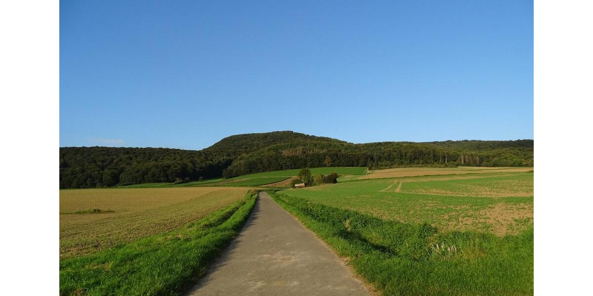 Bauernhaus, Landhaus Hessisch Oldendorf - 8 Zimmer, 200 m&sup2;, 175.000&euro; | Angebot:24615188