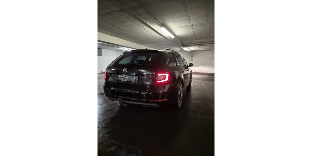 Skoda Octavia Combi 37.800 km 18.000 &euro; Preußisch Oldendorf 32361