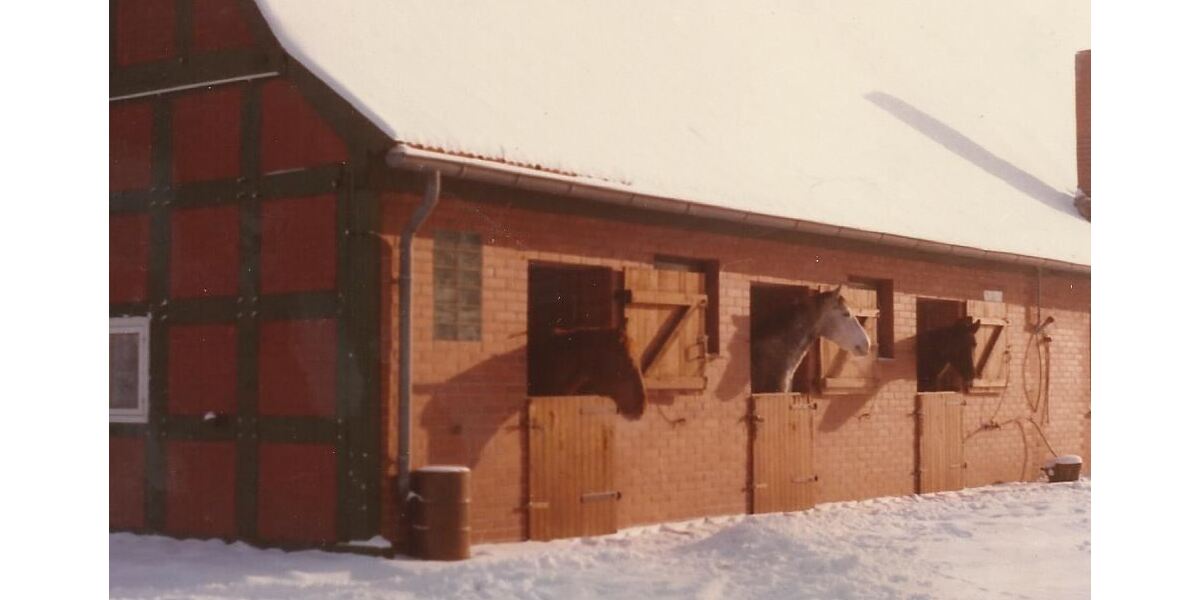 Historischer Niedersachsen- Bauernhof in Fachwerk mit Pferdeboxen u. tollen Eichenbaumbestand - Gewerbeobjekt Diepenau | Angebot:26216376