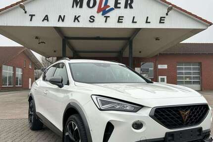 Cupra Formentor 52.835 km 24.875 &euro; Lüdersfeld 31702