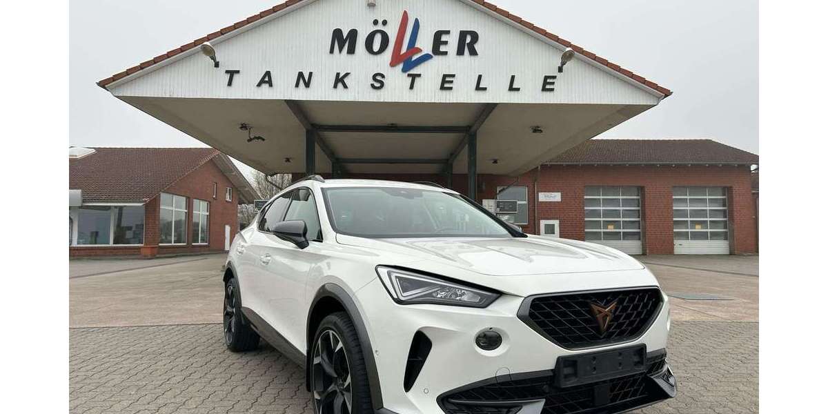 Cupra Formentor 52.835 km 24.875 &euro; Lüdersfeld 31702