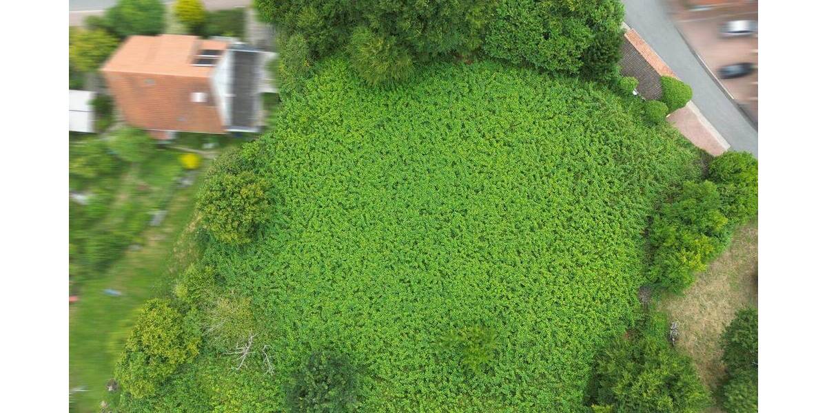 Grundstück Rinteln Schaumburg - 136.000&euro; | Angebot:25685693