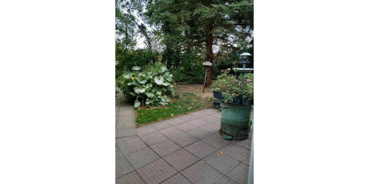 Bauernhaus, Landhaus Preußisch Oldendorf - 4 Zimmer, 200 m&sup2;, 250.000&euro; | Angebot:24597135