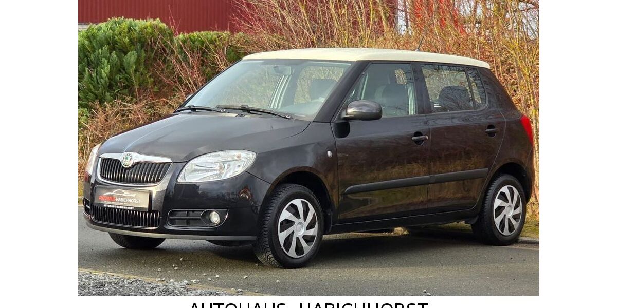 Skoda Fabia 104.000 km 5.590 &euro; Lüdersfeld 31702