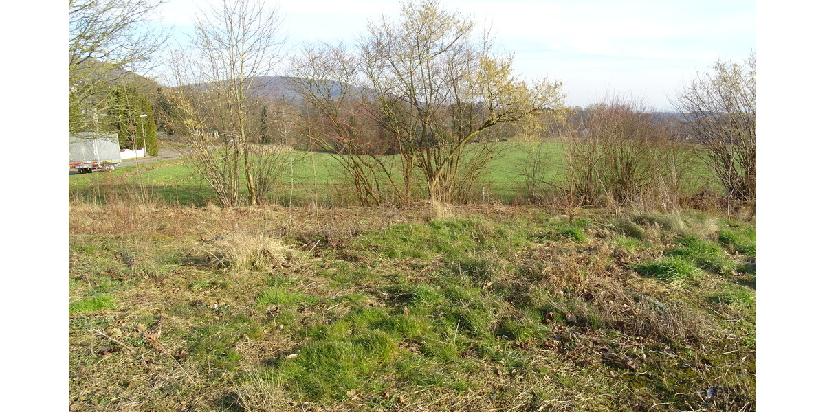 Sackgassenlage! Baugrundstück mit Blick auf das Wiehengebirge in Bad Oeynhausen-Wulferdingsen - Grundstück Bad Oeynhausen Wulferdingsen | Angebot:25645629