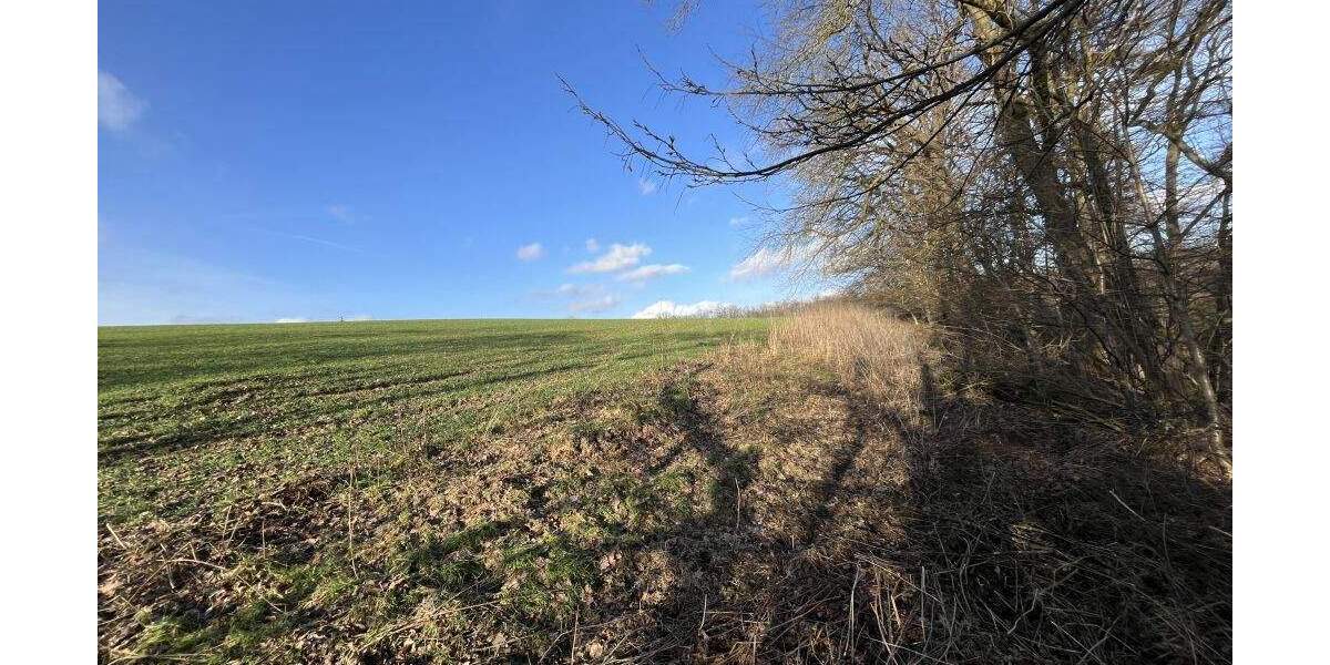 Grundstück Extertal Bösingfeld - 51.000&euro; | Angebot:25729448