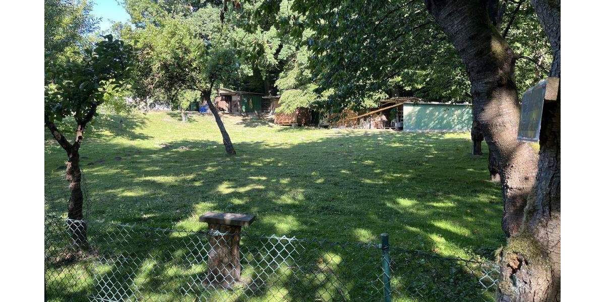 Grundstück Extertal Bösingfeld - 51.000&euro; | Angebot:25729448