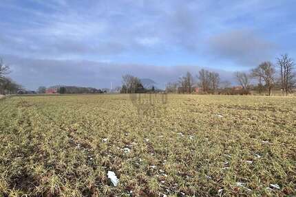 Grundstück Raddestorf - 98.000&euro; | Angebot:25084012