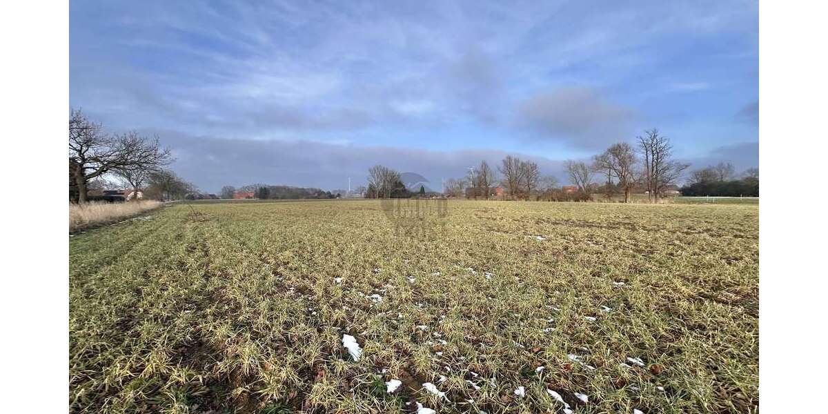 Grundstück Raddestorf - 98.000&euro; | Angebot:25084012