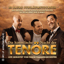 Himmlische Nacht der Tenöre - Das Original - Live und ohne technische Verstärkung 19.02.2027 Münsterkirche