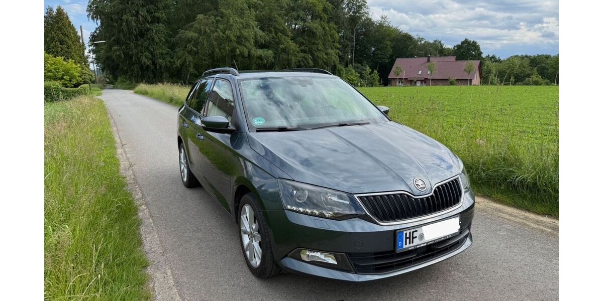 Skoda Fabia 89.000 km 8.750 &euro; Herford 32051