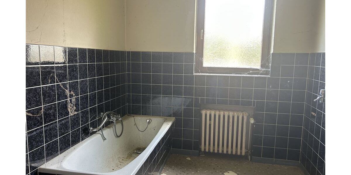 Großes Anwesen am Weser-Radweg, ideal für Pferdehaltung & Hofcafé - Gewerbeobjekt Stolzenau | Angebot:26302367