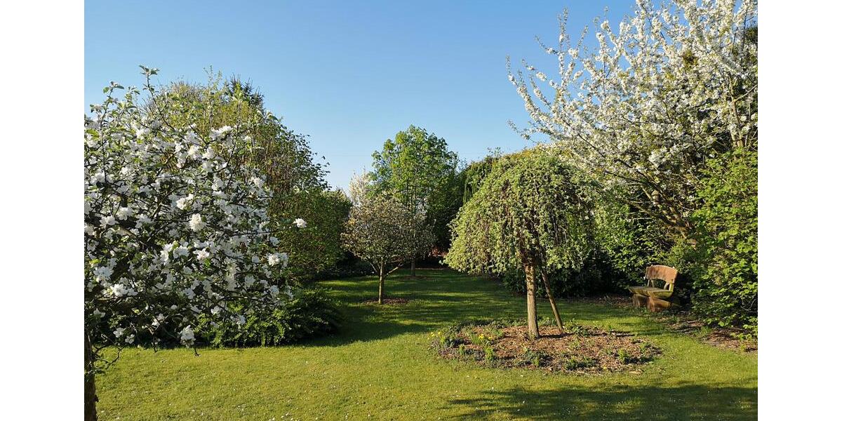 Mehrfamilienhaus, Wohnhaus Lemgo - 8 Zimmer, 215 m&sup2;, 449.000&euro; | Angebot:26722195
