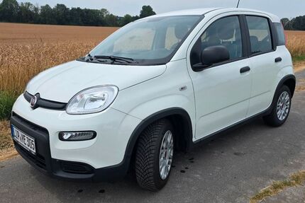 Fiat Panda 28.500 km 9.600 &euro; Bad Salzuflen 32108