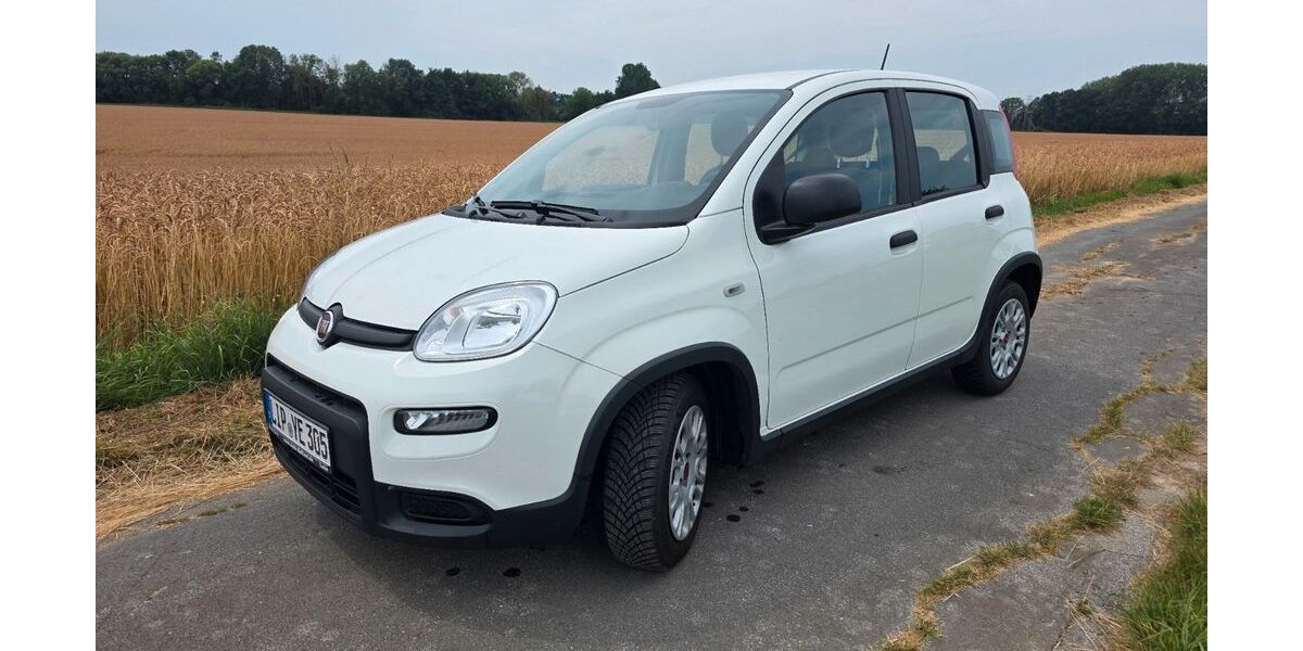 Fiat Panda 28.500 km 9.600 &euro; Bad Salzuflen 32108