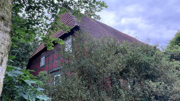 Historischer Niedersachsen- Bauernhof in Fachwerk mit Pferdeboxen u. tollen Eichenbaumbestand - Gewerbeobjekt Diepenau | Angebot:27295101