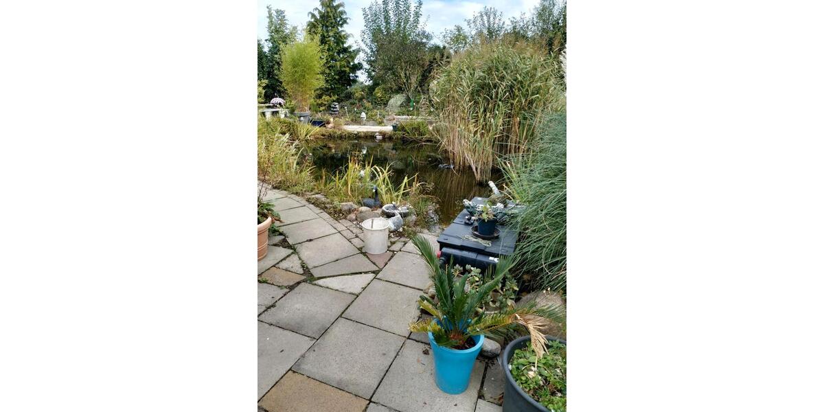 Bauernhaus, Landhaus Preußisch Oldendorf - 4 Zimmer, 200 m&sup2;, 250.000&euro; | Angebot:24597135