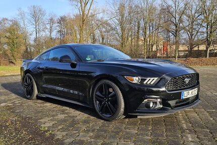 Ford Mustang 132.000 km 18.999 &euro; Dörentrup 32694