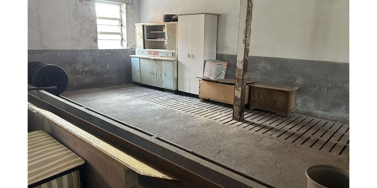 Charmanter Resthof mit Nebengebäuden und viel Platz für Tierhaltung - Gewerbeobjekt Stolzenau | Angebot:26302275