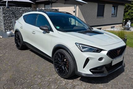 Cupra Formentor 47.550 km 42.900 &euro; Nienstädt 31688