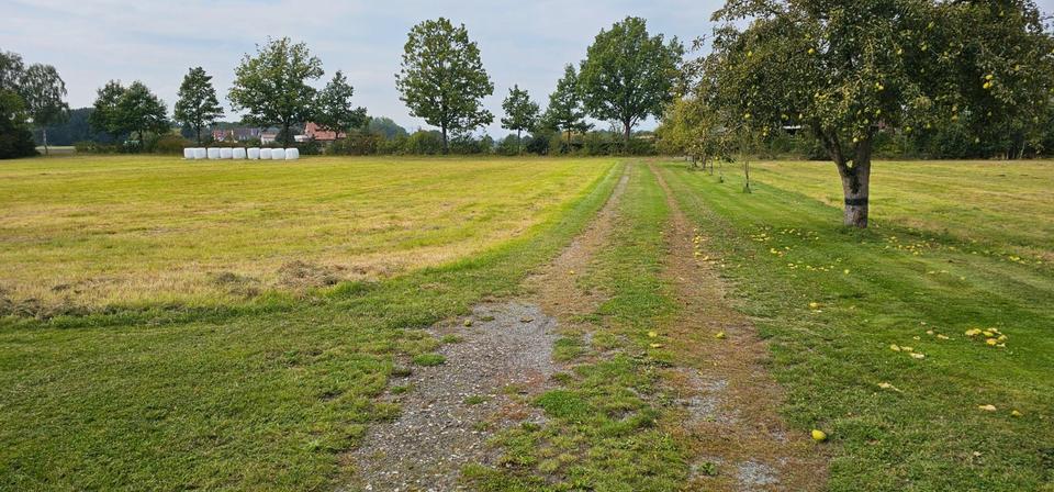 Mehrfamilienhaus, Wohnhaus Minden Kuhlenkamp - 7 Zimmer, 320 m&sup2;, 660.000&euro; | Angebot:27208942