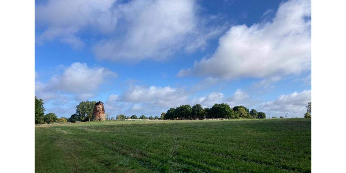 Bauernhaus, Landhaus Petershagen - 11 Zimmer, 400 m&sup2;, 1.299.000&euro; | Angebot:26749759
