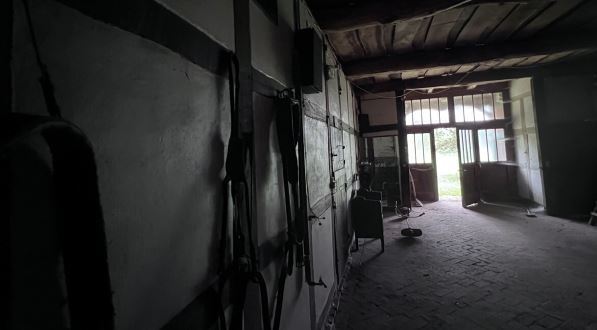 Historischer Niedersachsen- Bauernhof in Fachwerk mit Pferdeboxen u. tollen Eichenbaumbestand - Gewerbeobjekt Diepenau | Angebot:26216376