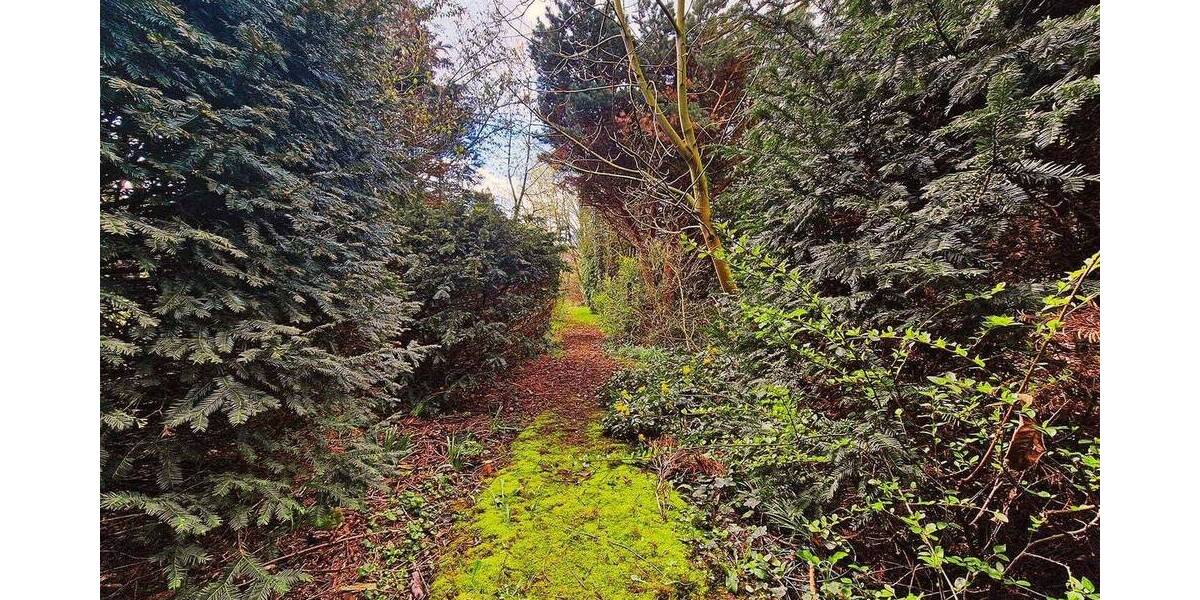 Einfamilienhaus Heeßen - 5 Zimmer, 129 m&sup2;, 130.000&euro; | Angebot:25685470