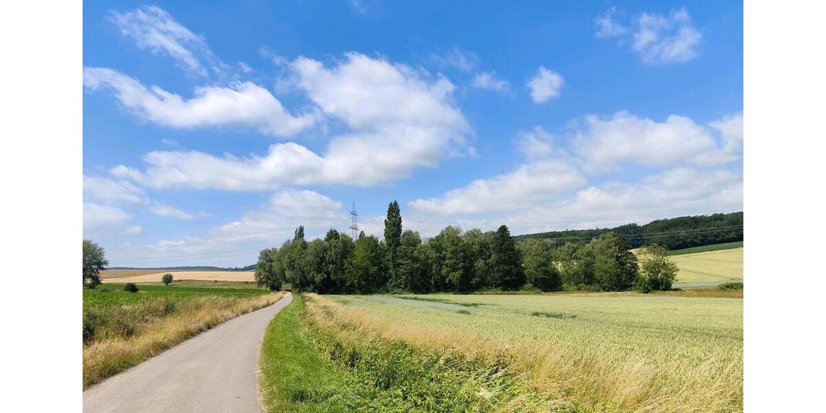 Einfamilienhaus Rodenberg - 37.500&euro; | Angebot:26222001