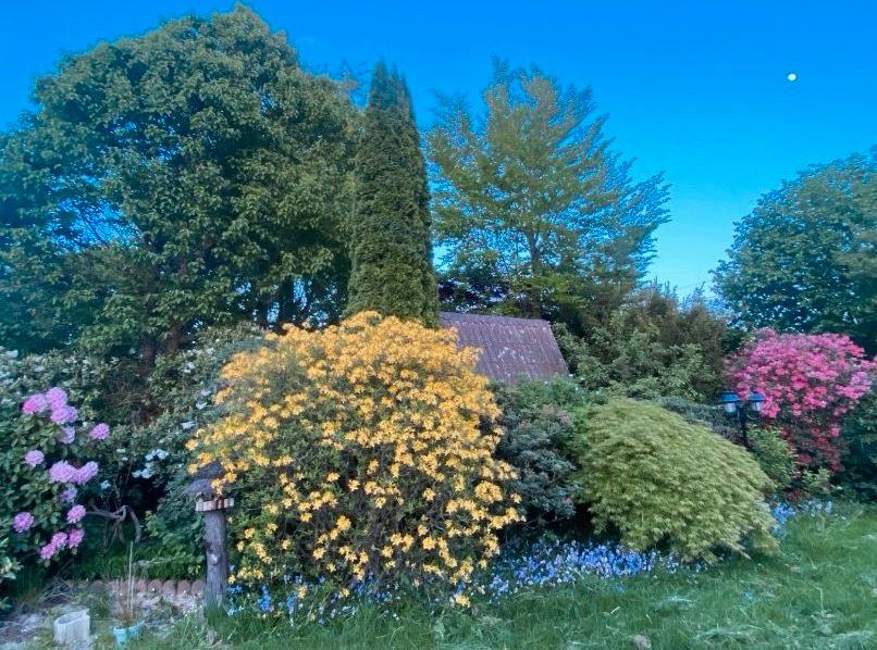 Mehrfamilienhaus, Wohnhaus Bünde - 11 Zimmer, 200 m&sup2;, 350.000&euro; | Angebot:25167566